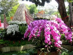 Les floralies, retour au printemps à Hô Chi Minh-Ville